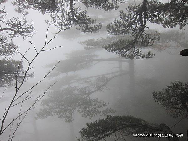 11/14 黃山