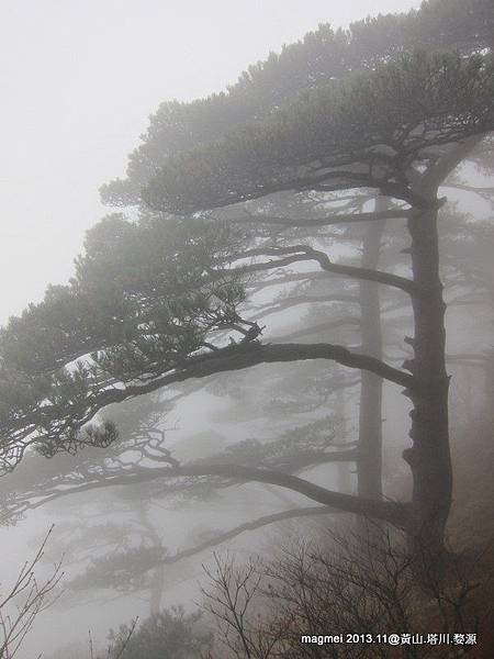 11/14 黃山