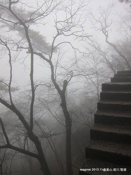 11/14 黃山