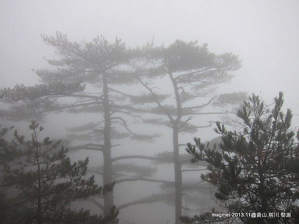 11/14 黃山