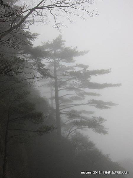 11/14 黃山 西海大峽谷