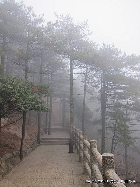11/14 黃山 西海大峽谷