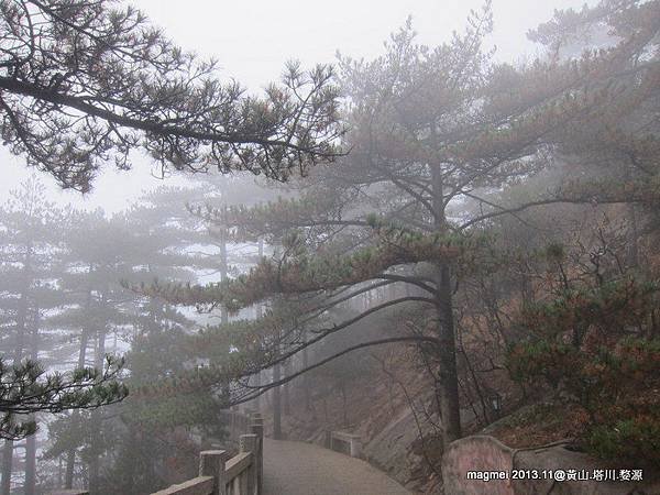 11/14 黃山 西海大峽谷