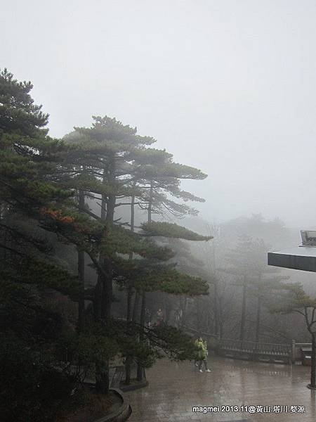 11/14 黃山白雲賓館