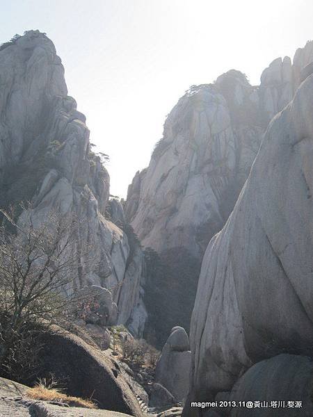 11/15 黃山 前山