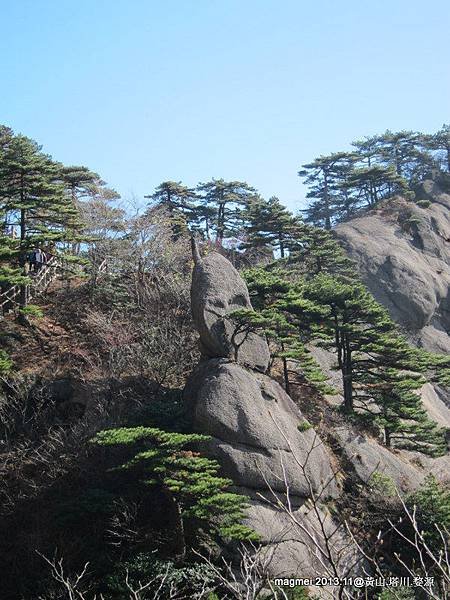 11/15 黃山 前山