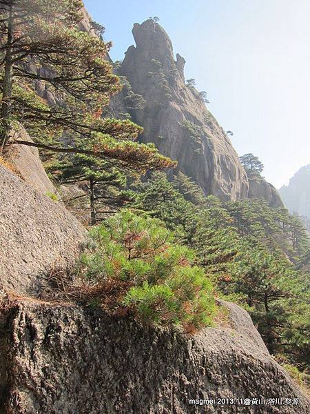 11/15 黃山 前山