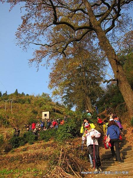11/16 長溪村