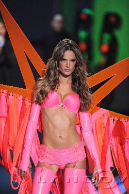 VSFS 2009