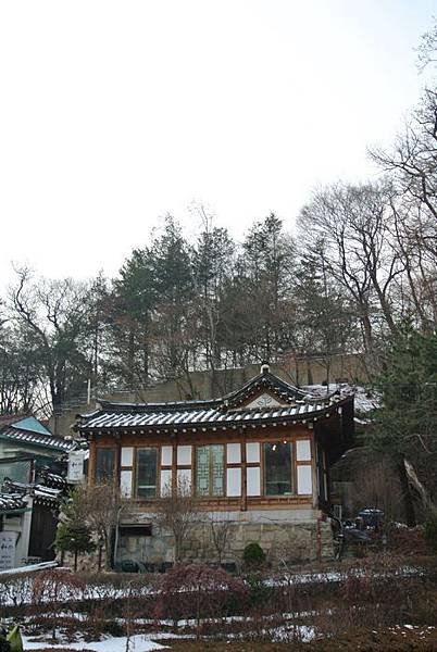nEO_IMG_DSC_2704.jpg
