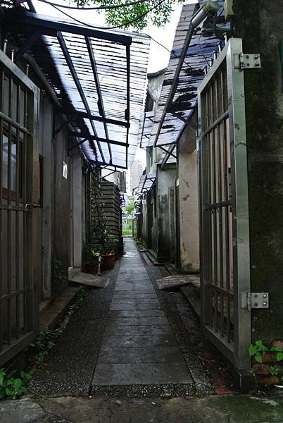 DSC_6407.JPG
