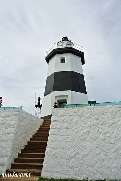 DSC_0826