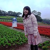 大溪花海農場