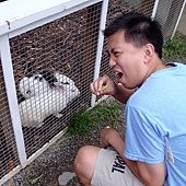 飛牛牧場