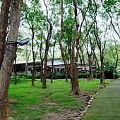 上田咖啡莊園