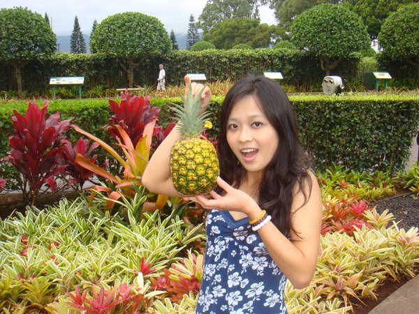 Dole Plantation