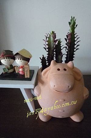 胖胖河馬