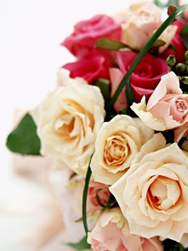 玫瑰花1.jpg