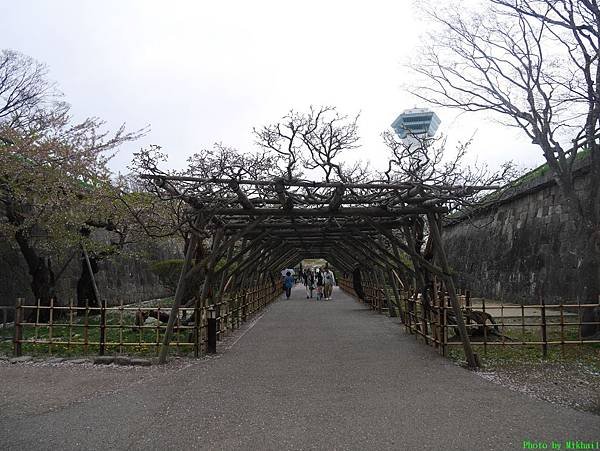 P1180952.JPG