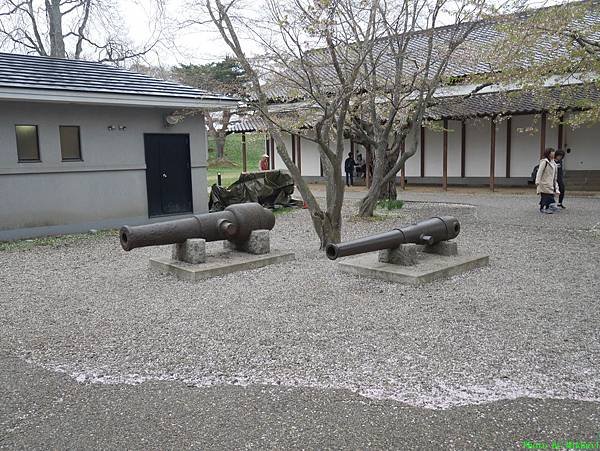 P1180970.JPG