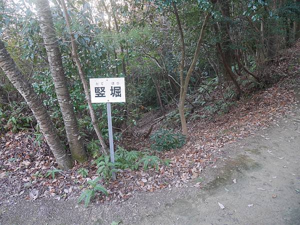 P1260788.JPG
