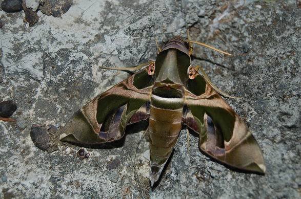 day2_056.jpg
