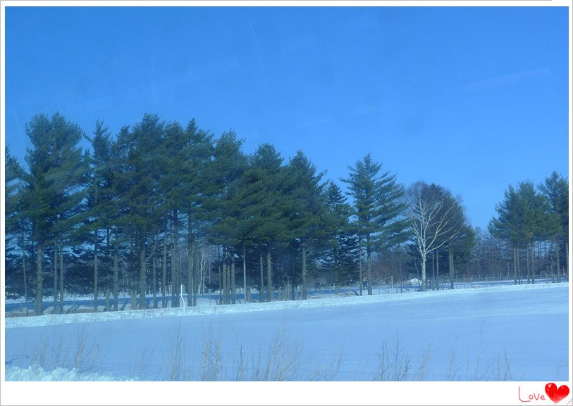 image3080-1