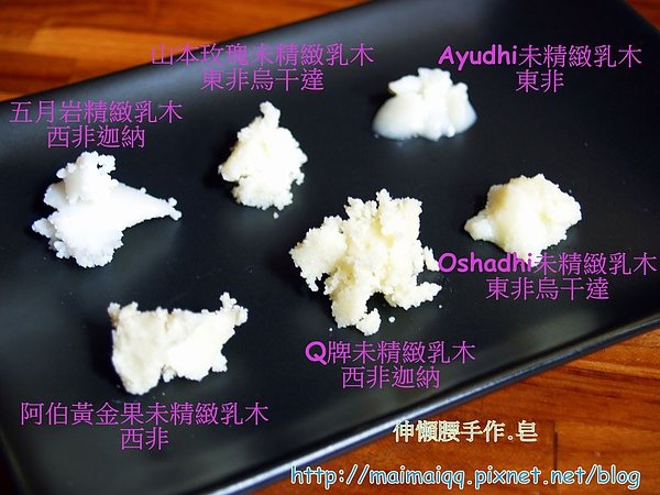 乳油木09.jpg