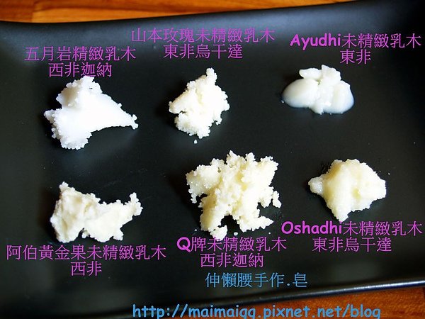 乳油木10.jpg
