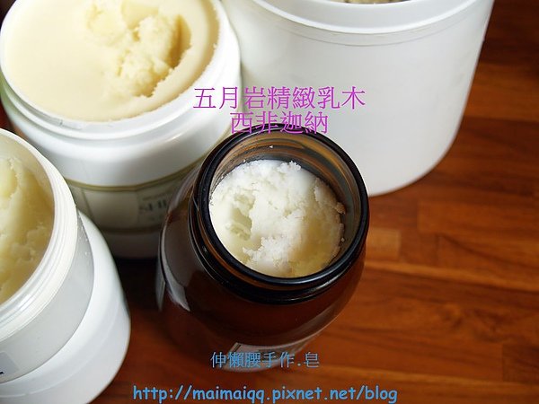 乳油木03.jpg