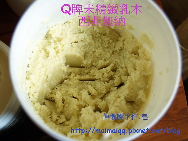 乳油木06.jpg