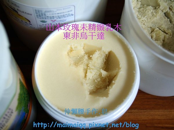 乳油木04.jpg