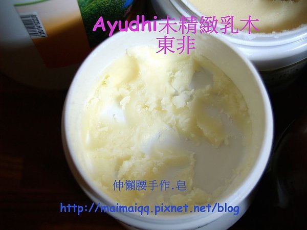 乳油木08.jpg