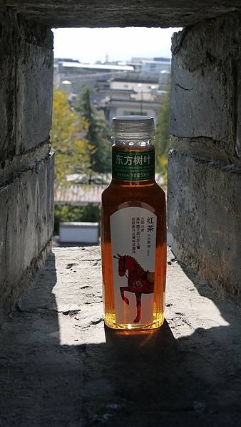 P1220575.jpg