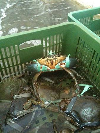 照片 577.jpg