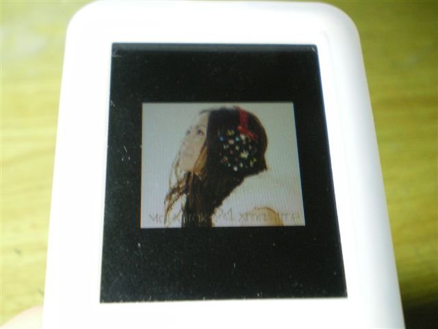 IMGP0167.JPG