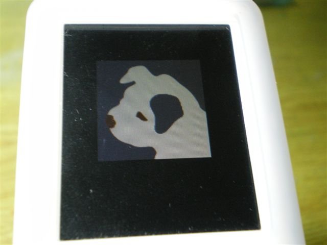 IMGP0168.JPG