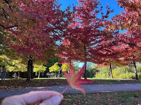 Biking Stanley Park: Best way 