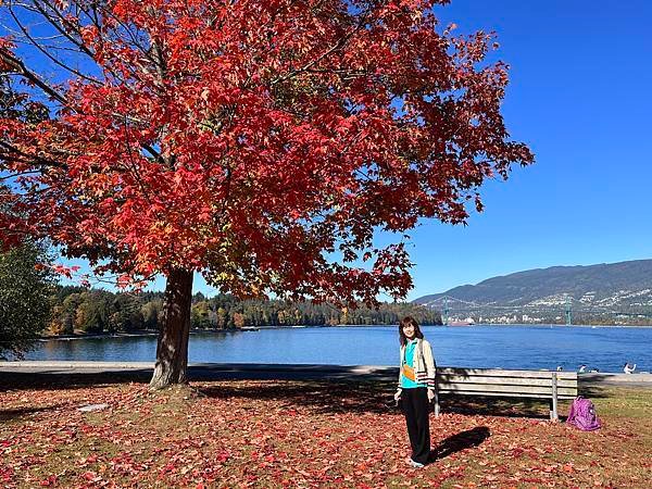 Biking Stanley Park: Best way 