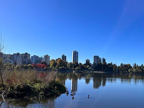 Biking Stanley Park: Best way 