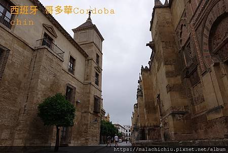 20210612_214828.jpg