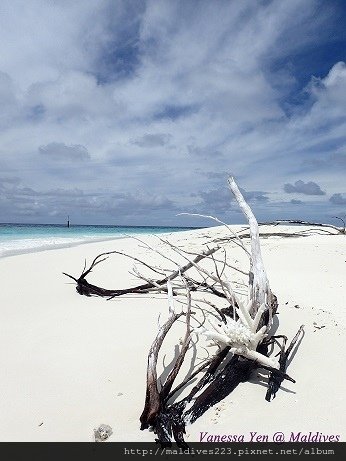 White sand bank.JPG