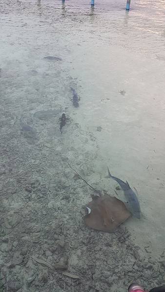 20151014_173256.jpg