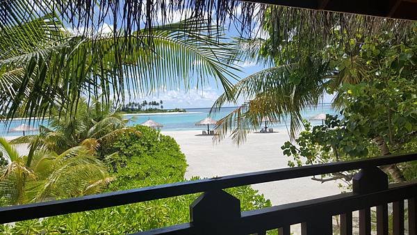 20151016_100439.jpg