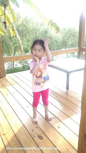 IMAG2964-1.jpg