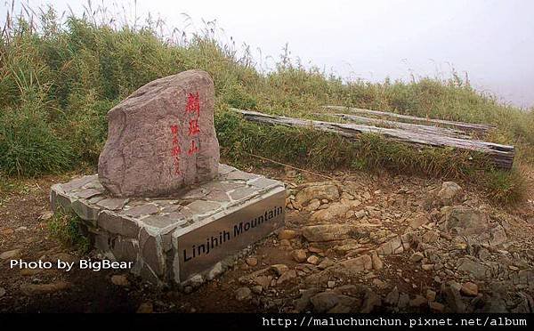 AA14.jpg