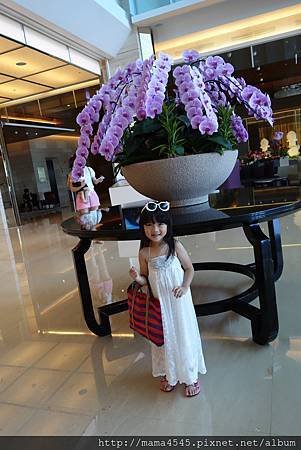 DSC08561.jpg