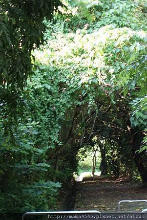 DSC06676.jpg