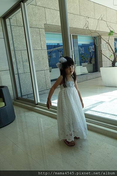 DSC08635.jpg