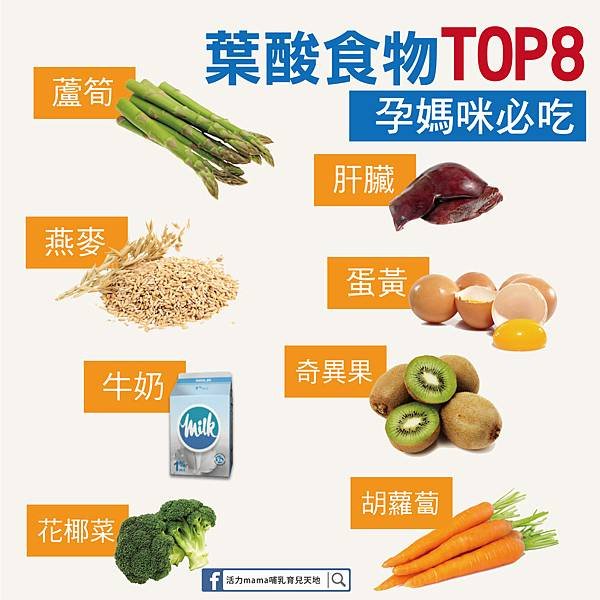 懷孕初期葉酸補充 葉酸食物TOP8